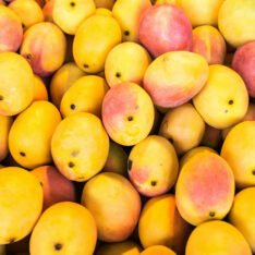 Haitian Mango Tropical Fruit Box