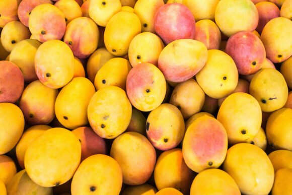 Haitian Mango Tropical Fruit Box