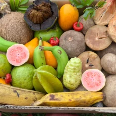 Hello Spring Tropical Fruit Box