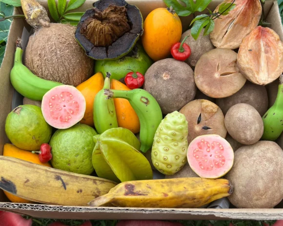 Hello Spring Tropical Fruit Box