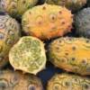 Kiwano Melon Fruit Box