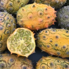 Kiwano Melon Fruit Box