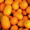 Kumquat Exotic Fruit Box