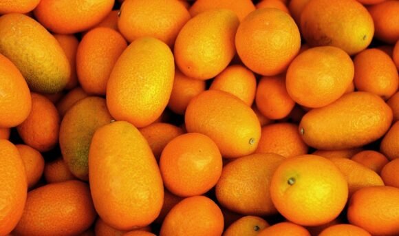 Kumquat Exotic Fruit Box