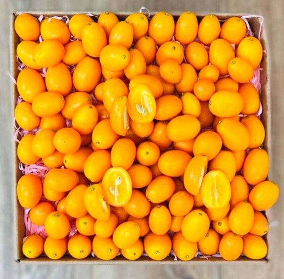 Kumquat Exotic Fruit Box