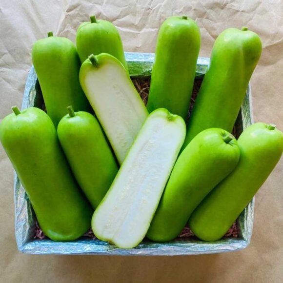 Long Opo Chinese Squash
