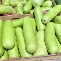 Long Opo Chinese Squash Box