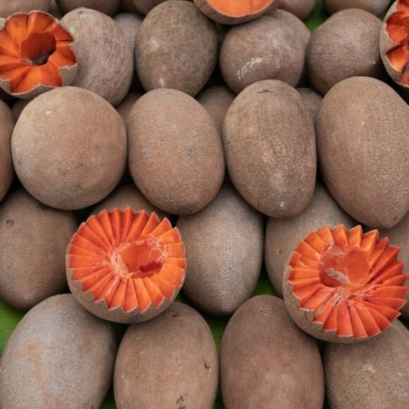 Mamey Sapote Fruit Box