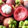Mangosteen Tropical Fruit Box