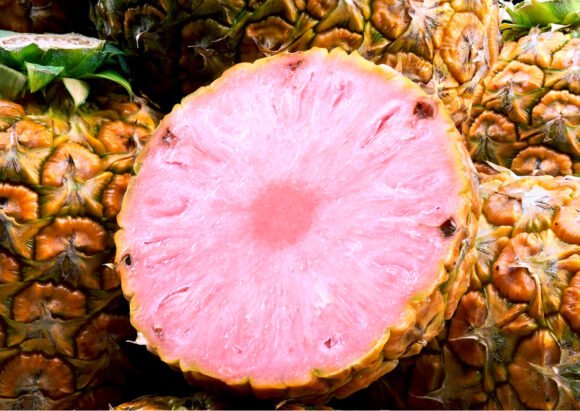 Pinkglow Pineapple Fruit Box