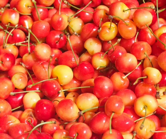 Rainier cherries Fruit Box