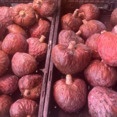 Red Atemoya Fruit Box