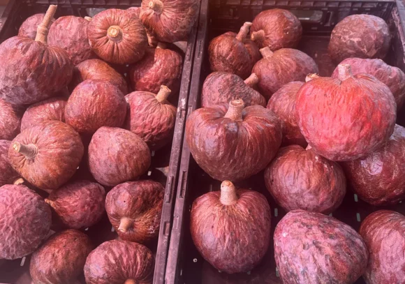 Red Atemoya Fruit Box
