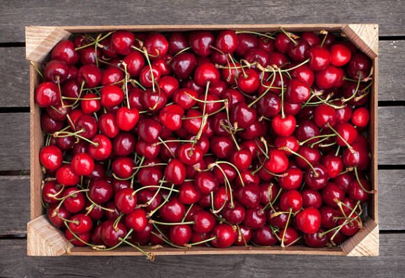 Red Cherry Fruit Box