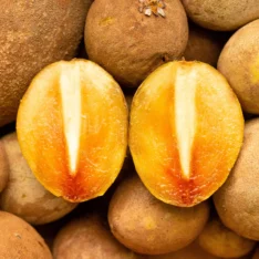 Sapodilla Fruit Box