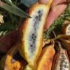 Seeded Banana Fruit Box