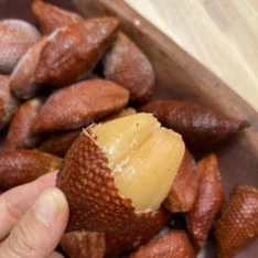 Snake Fruit Box