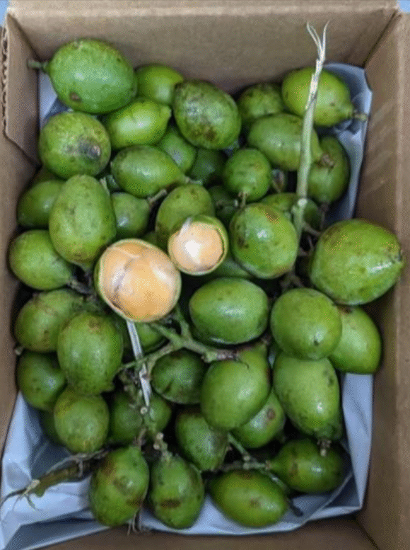 Spanish Limes Fruit Box