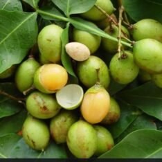 Spanish Limes Fruit Box