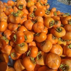 Spanish Persimmons Fruit Box