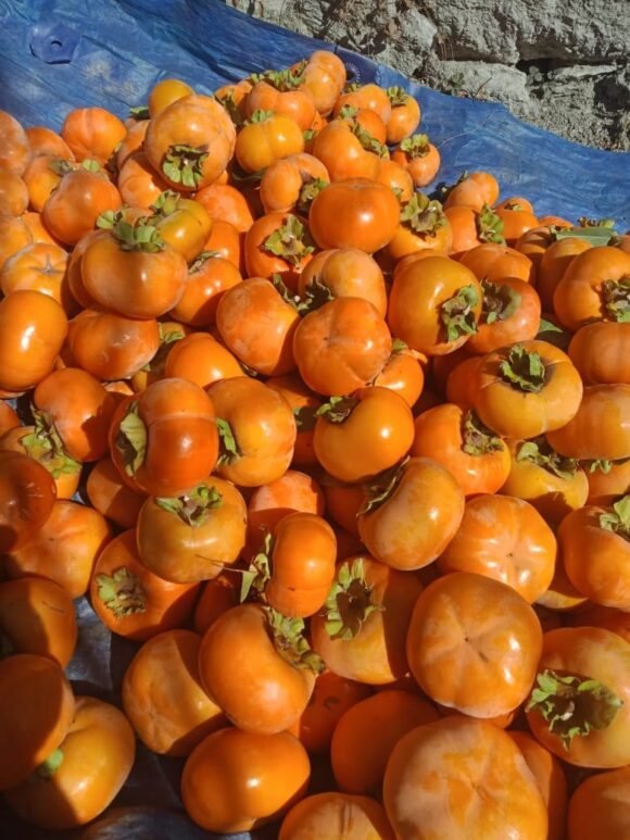 Spanish Persimmons Fruit Box