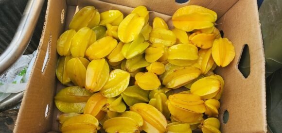 Star Fruit Box
