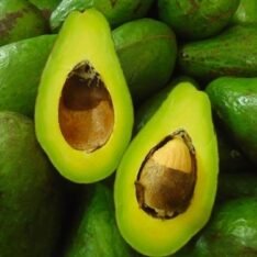 Tropical Avocados Fruit Box