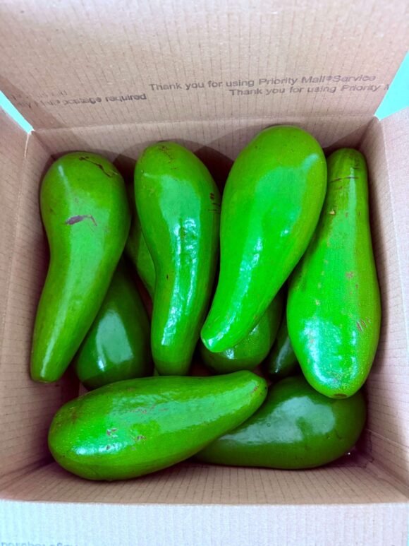 Tropical Avocados Fruit Box