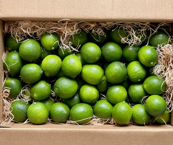 Tropical Lime Fruit Box