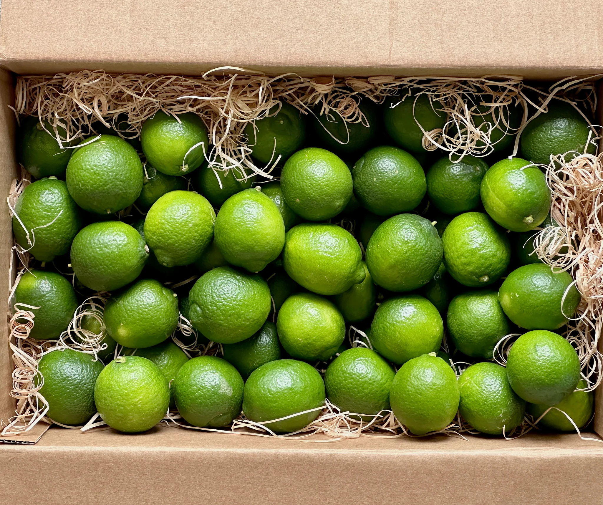 Tropical Lime Fruit Box