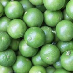 Tropical Lime Fruit Box