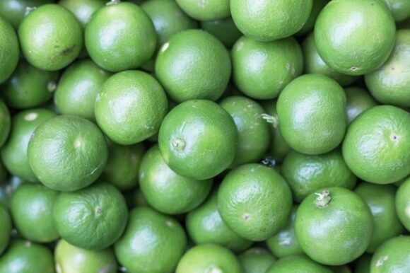 Tropical Lime Fruit Box