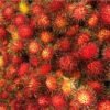 Tropical Rambutan Fruit Box