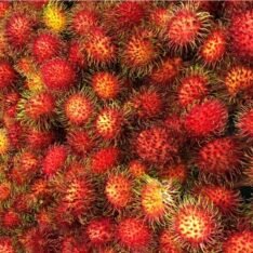 Tropical Rambutan Fruit Box