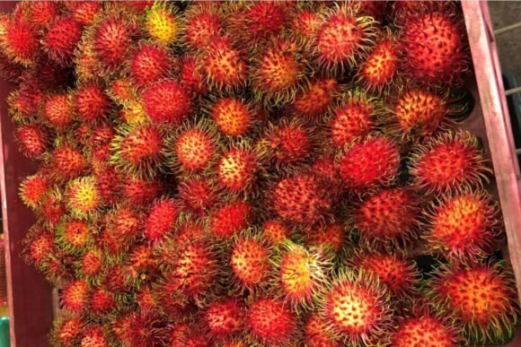 Tropical Rambutan Fruit Box