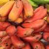 Red Banana Fruit Box