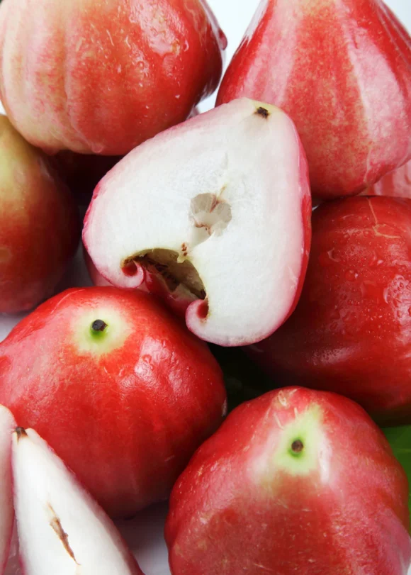 Wax Jambu Fruit Box
